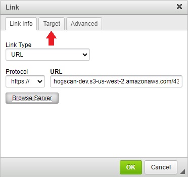 screenshow showing URL filled in and target tab to click